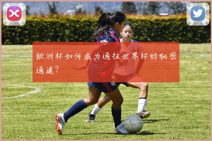 欧洲杯如何成为通往世界杯的秘密通道？
