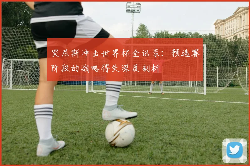 突尼斯冲击世界杯全记录:预选赛阶段的战略得失深度剖析