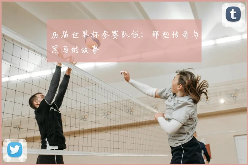 历届世界杯参赛队伍：那些传奇与黑马的故事
