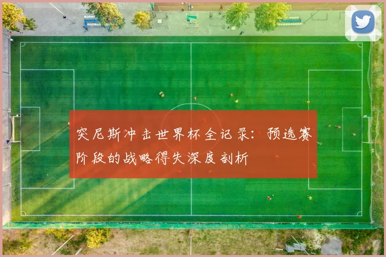 突尼斯冲击世界杯全记录:预选赛阶段的战略得失深度剖析